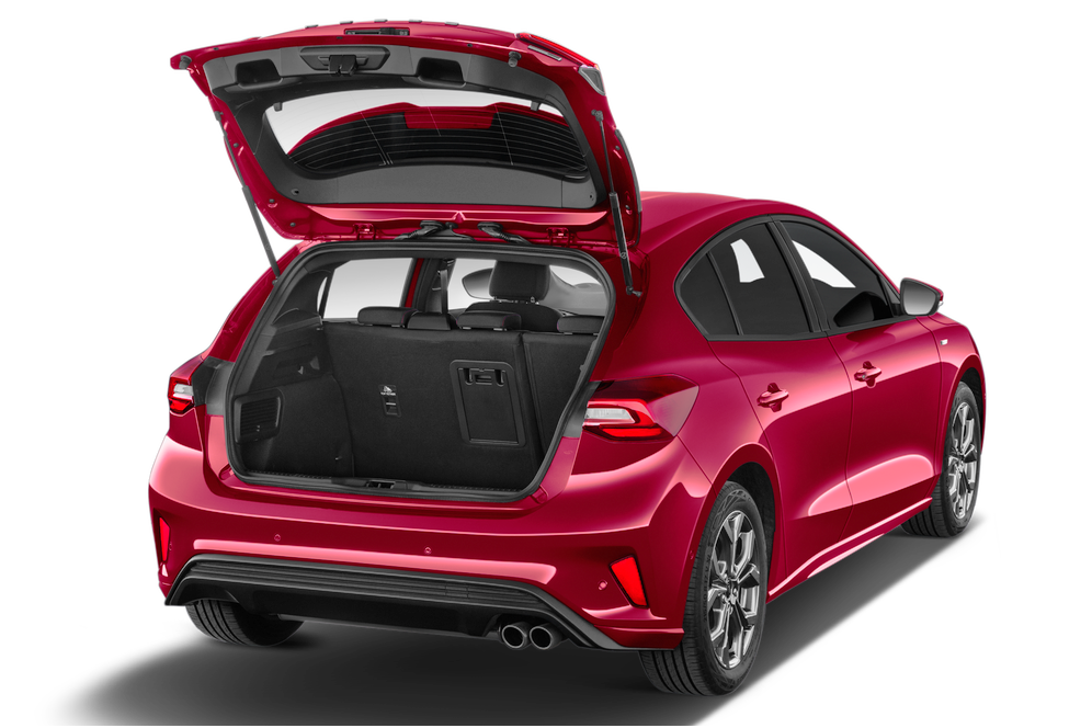 trunk