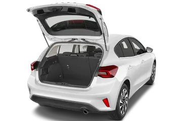 trunk