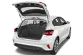 trunk