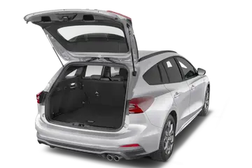 trunk