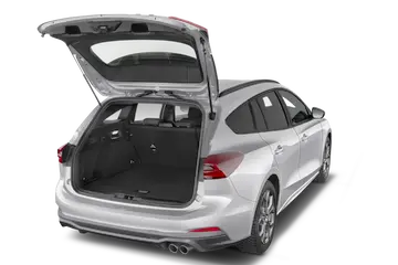 trunk