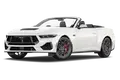 lowaggressive