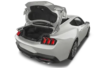trunk