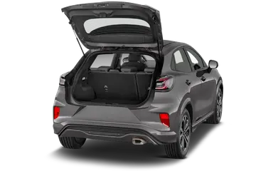 trunk