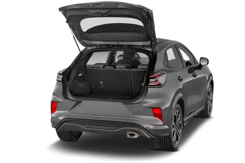 trunk
