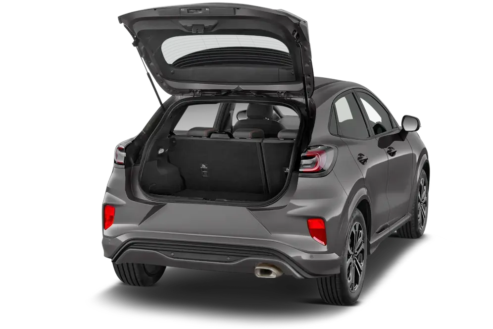 trunk