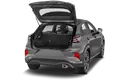 trunk