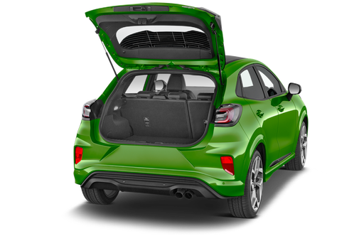 trunk