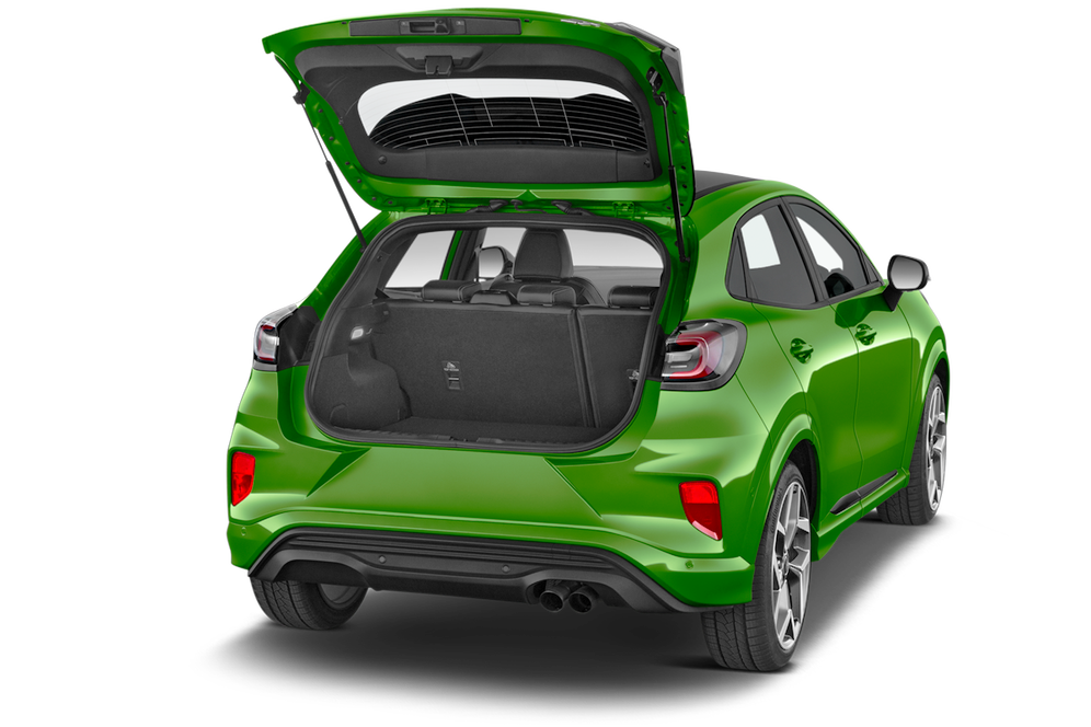 trunk