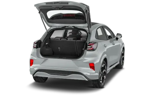 trunk