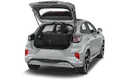 trunk