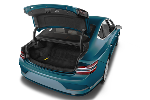 trunk