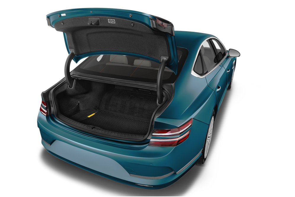trunk