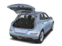 trunk