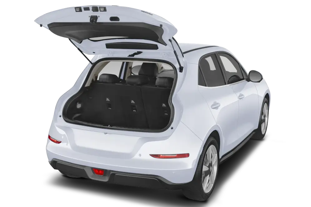 trunk
