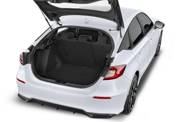 trunk