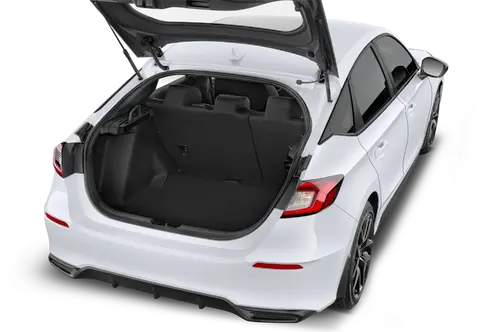 trunk