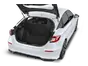 trunk