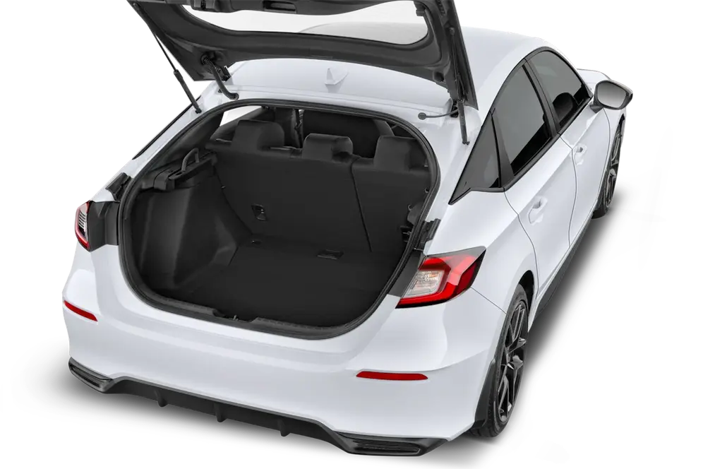 trunk