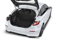 trunk