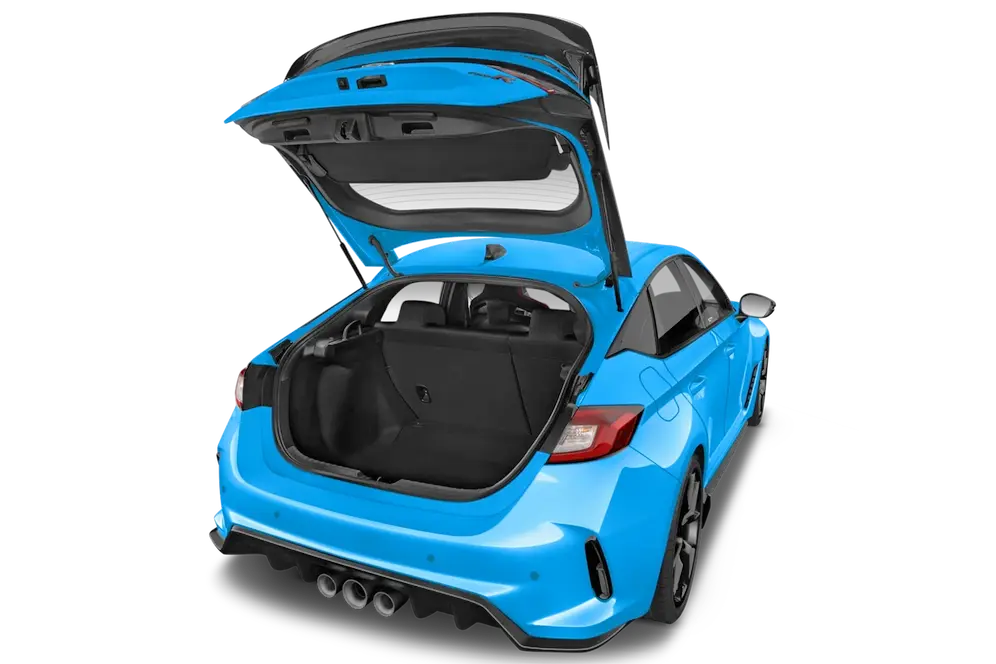 trunk