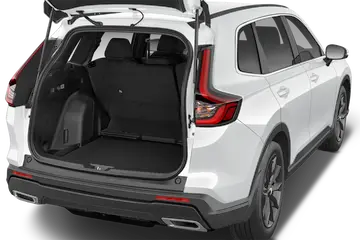 trunk