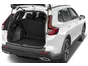trunk