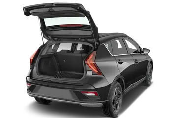 trunk