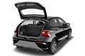trunk