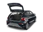 trunk