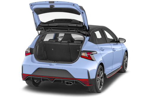 trunk