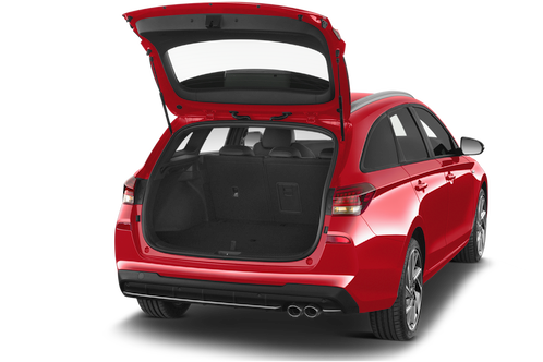 trunk