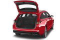 trunk