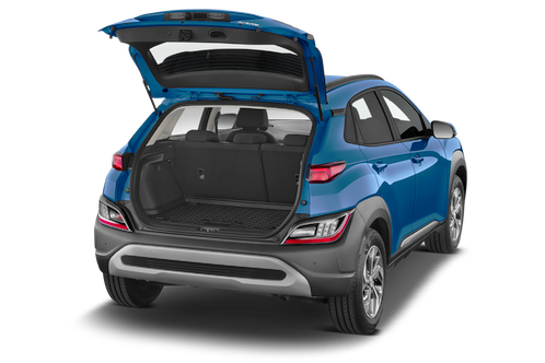trunk