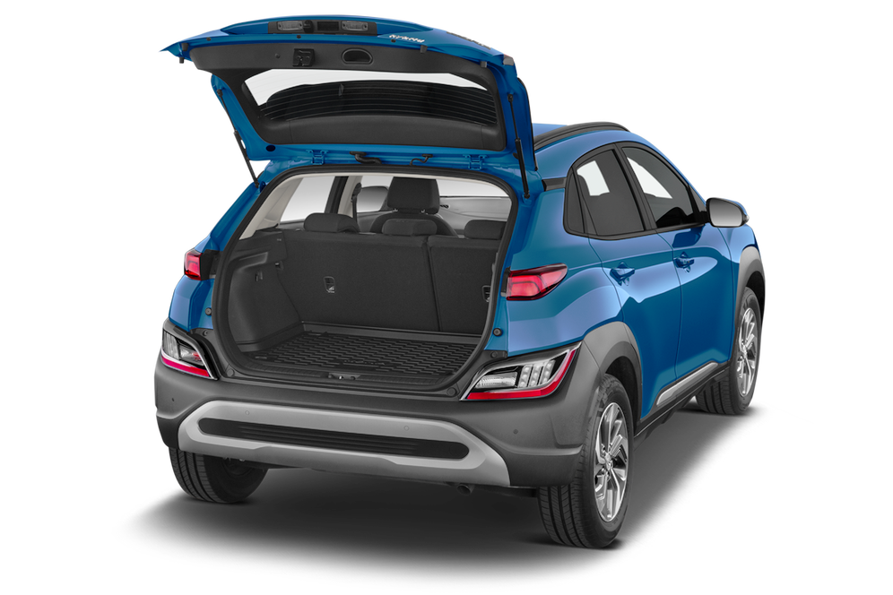 trunk