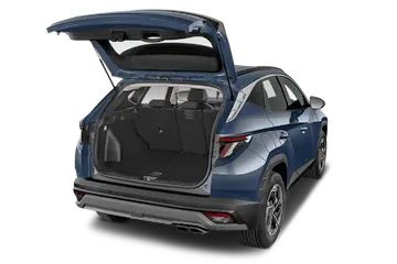 trunk