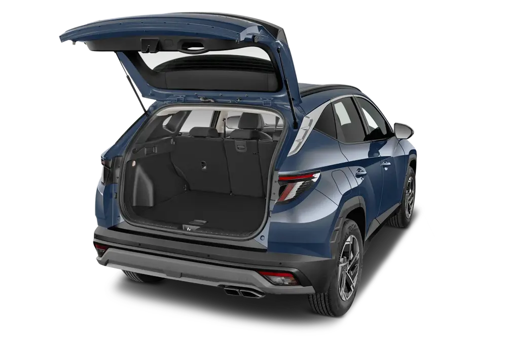 trunk