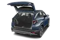 trunk