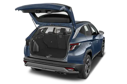 trunk