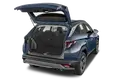 trunk