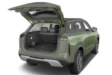 trunk