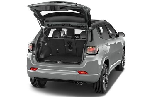 trunk