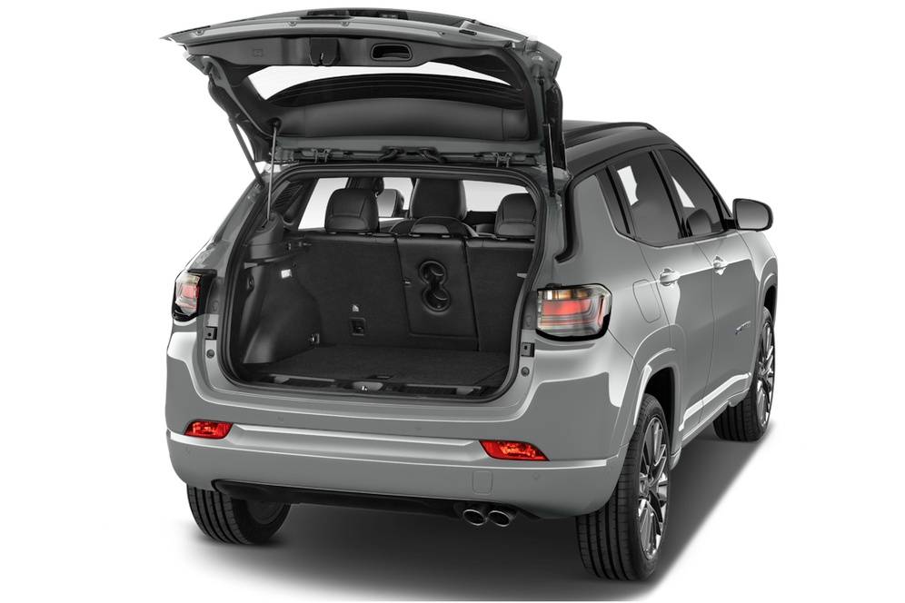 trunk