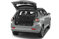 trunk