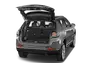 trunk
