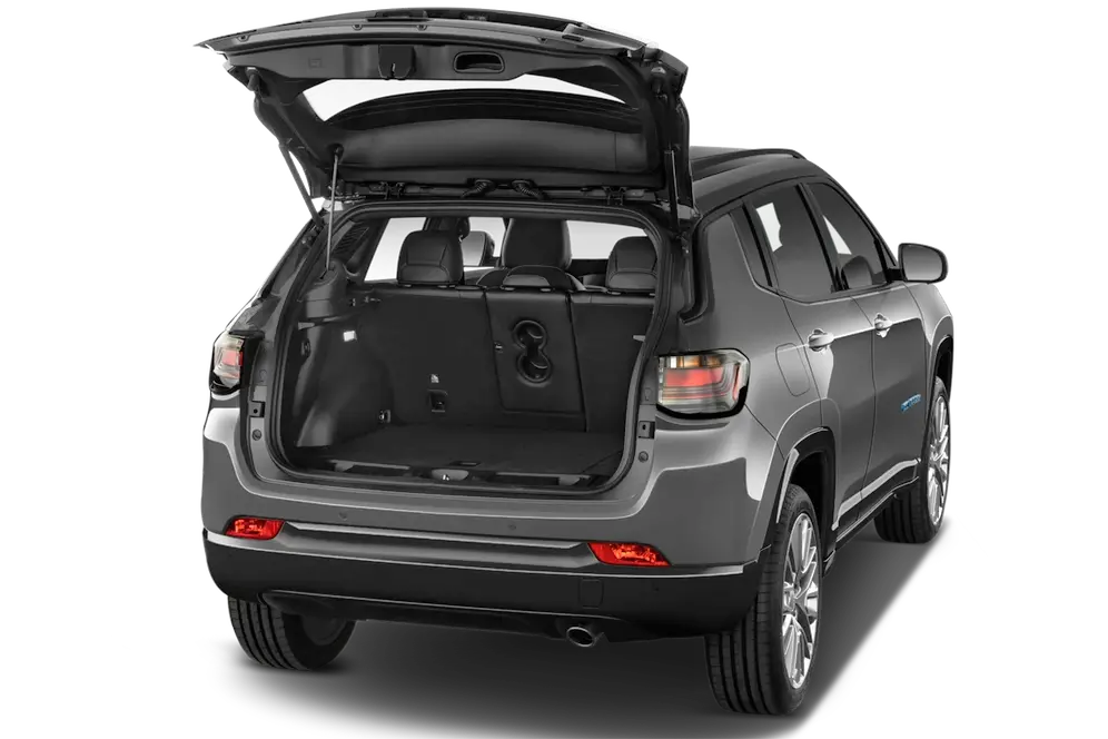 trunk