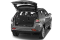 trunk