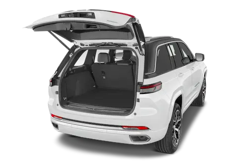 trunk