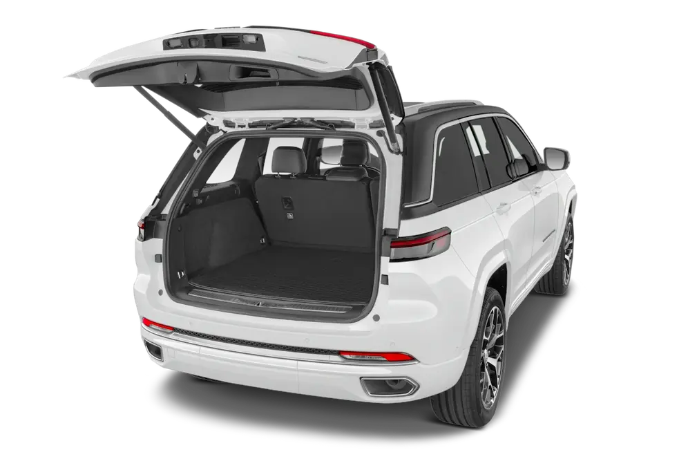 trunk