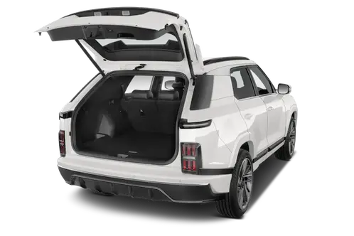 trunk